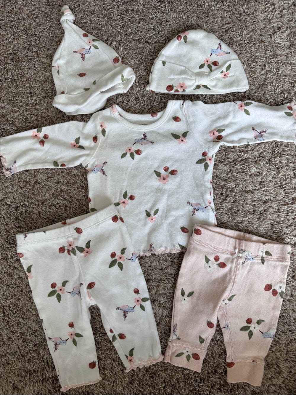 Carter’s baby girl bird/flowers matching set